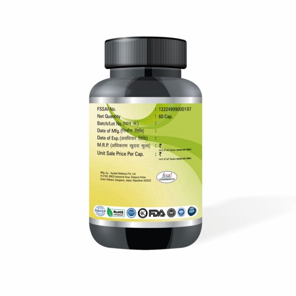 Moringa Oleifera Capsules - Image 2