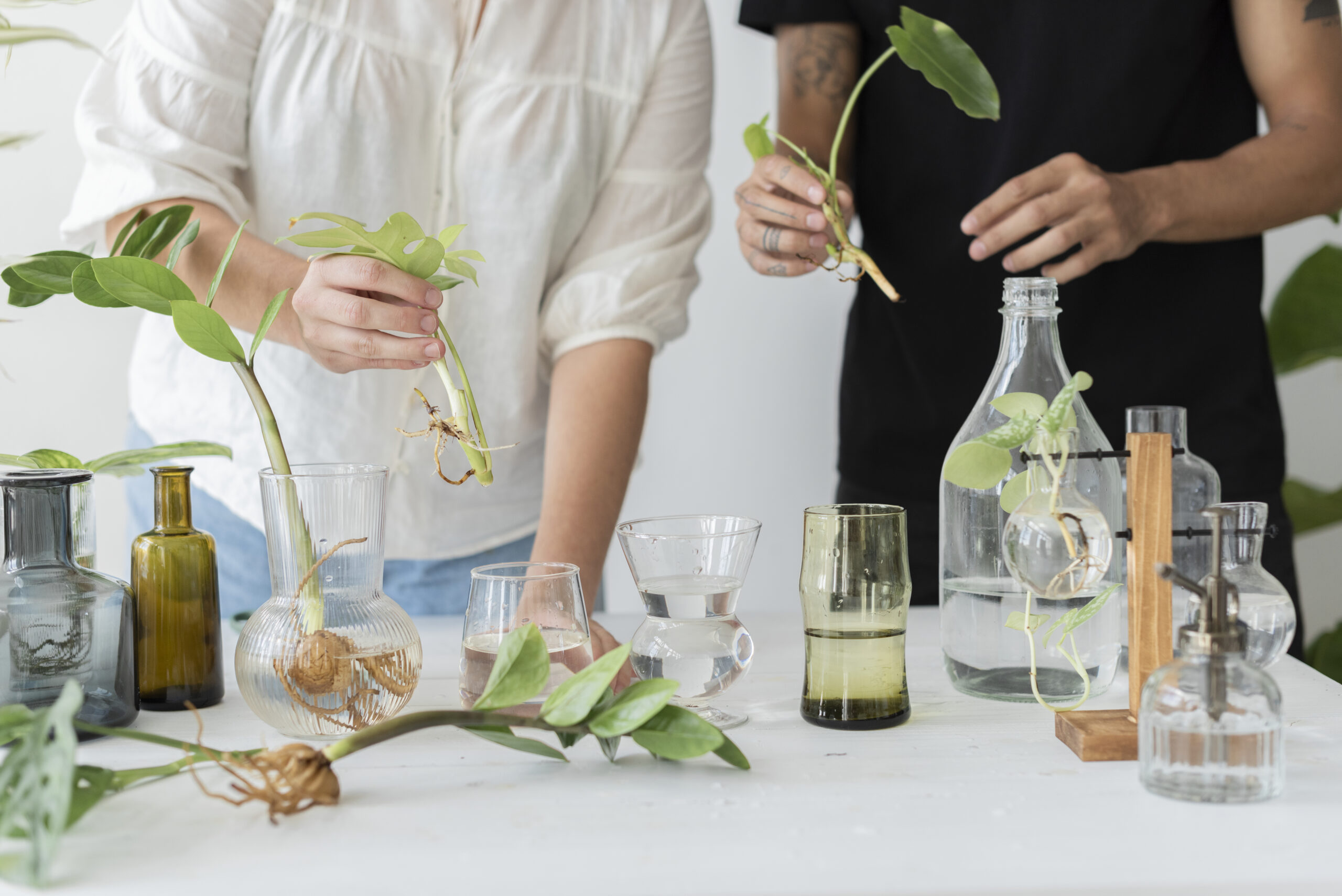 Why Ayurvedic Medicine Third Party Manufacturing is the Future of Herbal Products